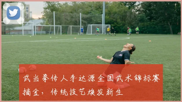 武当拳传人李达源全国武术锦标赛摘金，传统技艺焕发新生